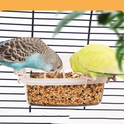 Bird Food Box Bird Water Tank Box Birds Parakeet Indoor Bird Feeder Bird Feeders For Cage