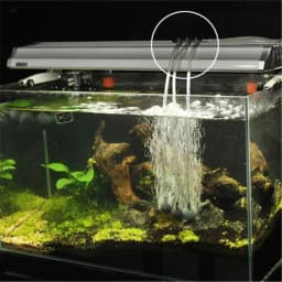 1 2 3 4 5 Way Aquarium Air Splitter Valve Fish Tank Air Pump Flow Splitter Distributor Pump Valve Tap Lever Control Switch Valve