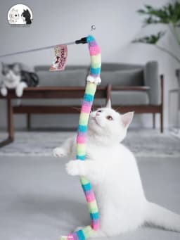 Cat Toy Feather Cats Teaser Wand Cats Interactive Toy Funny Caterpillar Colorful Rod Teaser Wand Pet Cat Supplies Pets Accessory