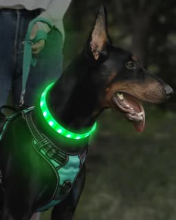 Lightweight USB Rechargeable Collar for Large Medium and Small Dogs, Glowing Dog Collar, 9 Flashing Modes, Soft Silicone Glowing