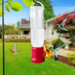 90ML Hummingbird Feeders Portable Transparent Hanging Bird Feeders Removable Lightweight Water Bowl Garden