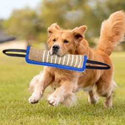 Dog Training Products, Jaoseko Dog Bite Rods, Grinding Teeth, Stick, Biting Target Pet Supplies, Stick Dog Toys