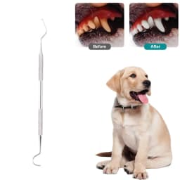 Stainless Steel Pet Tooth Cleaning Tool, Used To Remove Stains and Tartar. Dental Endoscopic Care Set for Dogs and Cats