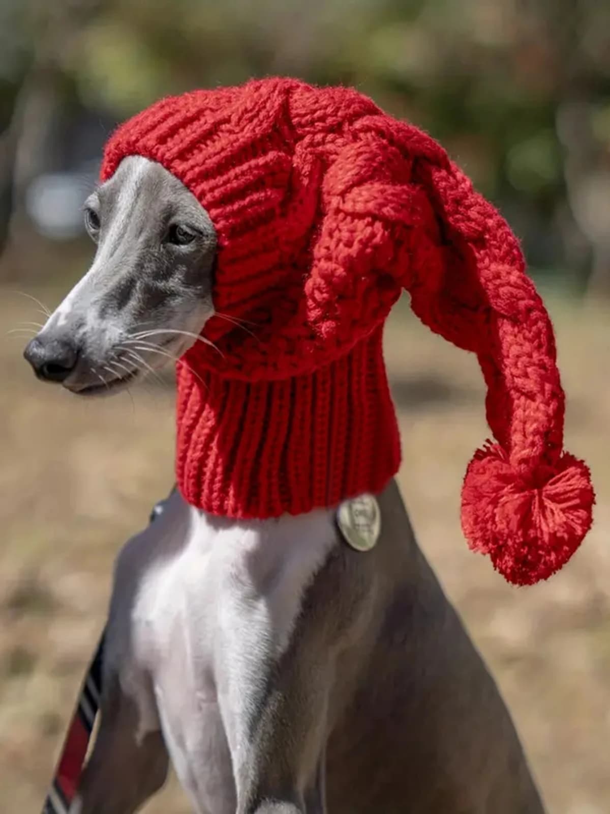 Hand Knit Winter Wool Greyhound Large Dog Beanie Hat Dog Accessories Whippet Snood for Dogs