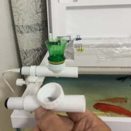 Fish tank feeder Mobile phone remote control Intelligent timing feeder Ornamental fish Turtle food Aquarium automatic feeder