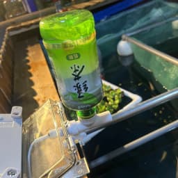 Fish tank feeder Mobile phone remote control Intelligent timing feeder Ornamental fish Turtle food Aquarium automatic feeder