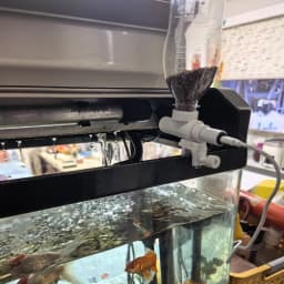 Fish tank feeder Mobile phone remote control Intelligent timing feeder Ornamental fish Turtle food Aquarium automatic feeder