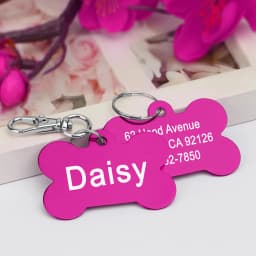 Personalized Dogs Cats ID Tag Custom Alloy Bone Puppy Kitten Collar Accessories Anti-lost Pet Name Tags for Small Large Dog Cat