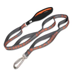 TRUELOVE Pet Leash Carabiner Traction Rope 3M Reflective Pull-resistant Nylon Webbing Big and Ferocious Dog Dedicated out YL1832