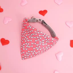 Pet Saliva Towel Adjustment Cute Cartoon Bear Weaved Dog Cat Collar Bib Grooming Arc Design Dog Scarf for Girl Small Dogs Cats