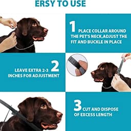 Extendable Pet Flea Collar Antiparasitic Necklace Personalized Anti Flea and Tick Big Dog Puppy Cat Anti-Flea Collar Ticks Dogs