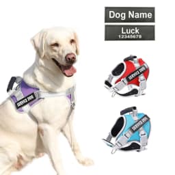 Personalized Name Dog Harness Adjustable Golden Retriever Labrador Dog Harness Reflective for Large Dogs Dog Walking Accessories