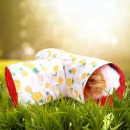Small Guinea Pig Hamster Toy Tubes Tunnels Hamster Cage House Hideout Channel Chinchillas Hamster Tunnel Toy