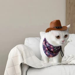 British Pet Cat Dog Hat Star Cowboy Hat Pet Supplies Adjustable Dog Costume Top Hat Headwear Dogs Caps Pet Sun Hats for Cats