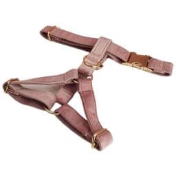 Light Purple Velvet Dog Collar And Leash Set For Dogs Custom Engraved Nameplate Pet Supplies Dog Leash Velvet05