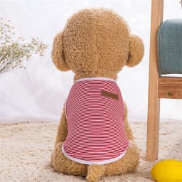 Summer Cat Dog Vest Classic Stripes Pet Sleeveless T-shirt for Small Dogs Cats Kitten Sphynx Clothing Outfit Ropa Para Gatos