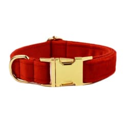 Personalized Dog Collar Velvet Puppy Adjustable Collar for Small Medium Big Dogs Collars with Name Customized ID Tag Engraving