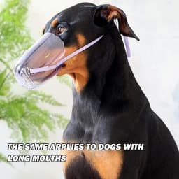 Breathable Cat Dog Muzzle Mouth Guard From Biting Chewing Grooming Restraint for All Cats and Pointed Mouth Dogs Cat Accessories