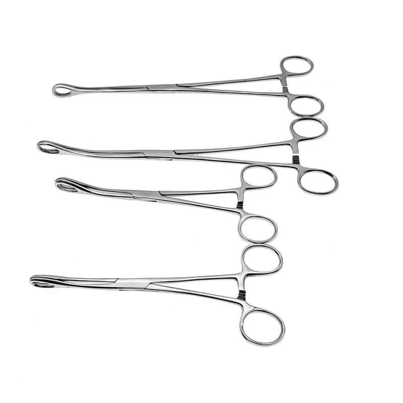 Sponge Forceps Serrated Jaws Stainless Steel Veterinary Surgical Instruments Straight/Curved 1 pc