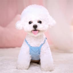 Summer Puppy Dog Cat Camisole Vest Cute Mesh Pet Clothes for Small Dogs Poodle Maltese Shirts Mascotas Apparels Ropa Para Perros
