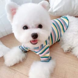 Cotton 100% Cat Dog Vest Summer Pet Clothes Stripe Pullovers for Small Dogs Cats Chihuahua Pomeranian Puppy Ropa Para Perros