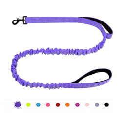 Bungee Dog Leash, Heavy Duty Dog Leash with Shock Absorption, 2 Padded Handles Training Leash, Improved Dog Safety and Comfort
