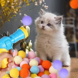 Cat Toys Automatic Ball Launcher Training Toy For Pet Kitten Creative Mini Shooting Gun Games Stretch Plush Toys Pet Supplies