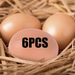 6/12Pcs Plastic Eggs Chicken House Small Fake Eggs Farm Animal Supplies Cages Accessories Guide Chicken Nest Egg Painting