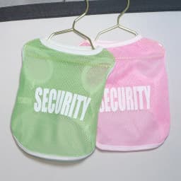 Cat and Dog Universal Summer Clothes Mesh Breathable Letter Printing Thin Size Large Dog Tank Top Golden Bears