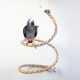 Bird Spiral-Rope Perch Cotton Rope with Bell Cage Hanging Swing Parrot Bungee Toy for Chewing Climbing Size 0.6” X Drop