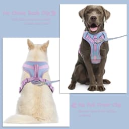 Splicing Colors for Medium Luxury Dog Harness No Pull for Large Small Dogs Adjustable Chest Strap Dog Harness Personalized