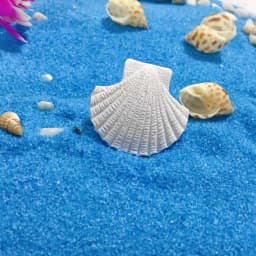 6Pcs Simulation Fish Tank Decoration Resin Starfish Seahorse Sea Bass Aquarium Scenery Ornament