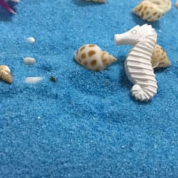 6Pcs Simulation Fish Tank Decoration Resin Starfish Seahorse Sea Bass Aquarium Scenery Ornament