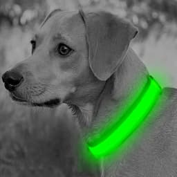 LED Luminous Collar Adjustable Glowing Dog Collar USB Rechargea Flashing Anti-Lost/Avoid Car Accident Collar Dogs Pet Products