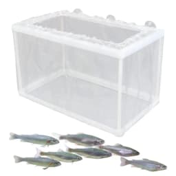 Fish Breeder Box with Suction, Aquarium Hatcher, Mesh Box, Juvenile Fish Separation Net, Tank Incubator Box, Fry Hatchery, DIY
