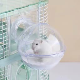 Hamster Bathroom Hamster Toilet Mouse Gerbille Pet Cage Box Bath Sand Room Toy Acrylic House Small Pet Supplies Accessories