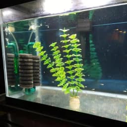 New Bio Sponge Filter For Aquarium Fish Tank Shrimp Pond Air Pump Biochemical Filtration Noiseless Foam Aquarium Accessories