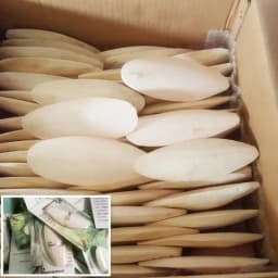 New 10pcs/set Birds Cuttlebone Parrot Chewing Cuttle Bone for Sharp Beaks Cuttle Bone for Parakeets Budgies Cockatiels Etc