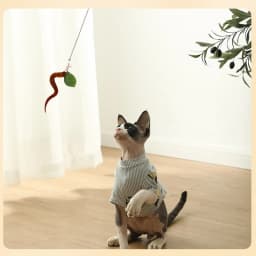 Caterpillar Cat Toy Set Cat Feather Teaser Wand Toy for Kitten Cat Dog Plush Worms Interactive Training Playing Stick Pet Toy