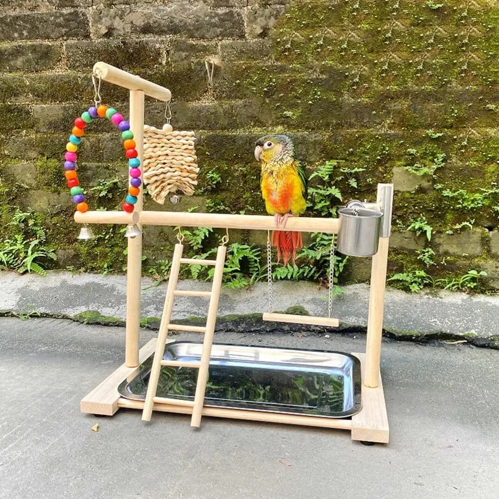 Bird Playground Perch Stand Feeding Cups Swing Climbing Ladder Parrot Playstand Exercise Playgym For Parakeet Cockatiel Lovebi