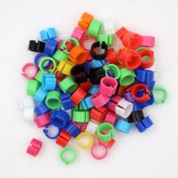 100Pcs Birds Pigeon Foot Rings Small Poultry Foot Ring 10 Colors Plastic Dove Clip Quail Pigeon Foot Ring Pet Bird Supplies