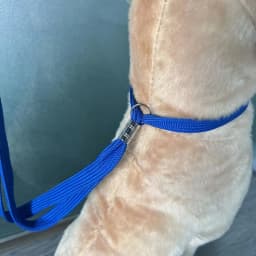 Pet Grooming Loops Dog Bathing Fixer Traction Rope Pet Cat Noose Dog Beauty Table Sling Adjustable Restraint Suction Cup Hook