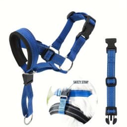 2-Pack Adjustable Nylon Dog Headgear with Reinforced Stitching–Leader Halter with Safety Strap for Training and Pull-Free Walks