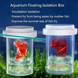 Plastic Floating Fish Breeding Isolation Box Aquarium Breeder Feeder Hatching Incubator Aquarium Hatchery Accessory