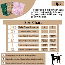 1PC Reusable Female Dog Diapers Washable Female Dog Physiology Pants Breathable Pants with Snaps on the Belly for Pet Diapers