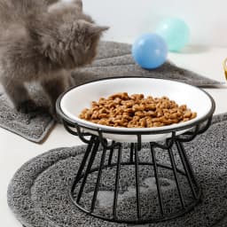 1pcs Ceramic Cat Food Bowl Wide Safe Pets Water Food Bowls Non Slip Shallow Dish for Kitten Puppy Food Water Feeding