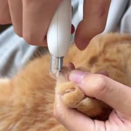 Pet Nail Clippers Dog Nail Clippers Multifunctional Teddy Cat Stainless Steel Grooming Scissors