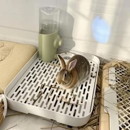 New Small Rabbit Litter Box Plastic Rectangular Pet Toilet Tray Double-layer Bunnie Corner Toilet Box Dutch Pig Supplies