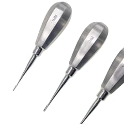Pet Dental Instruments Feline Canine Dental Elevators with Auxiliary Wing Short Handle Straight Root Elevators Oral Examination