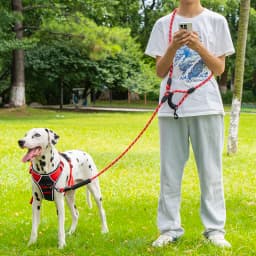 Pet Sling Rope Dog Leash 7.8ft Long with Padded Handle,Heavy Duty,for Control Safety Training | Leashes for Large Dogs or Medium